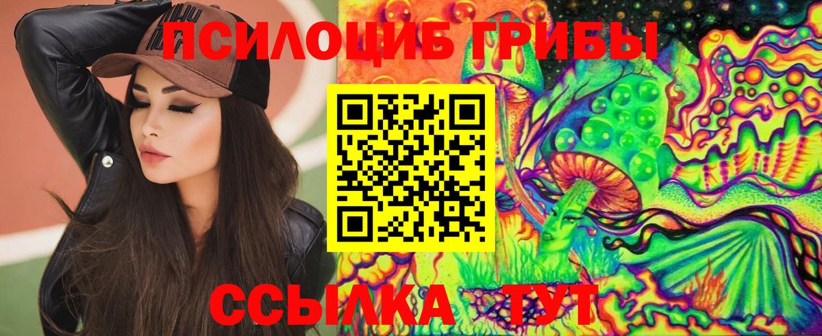 Егорьевск  Галлюциногенные грибы Psilocybine cubensis  Вход с VPN 